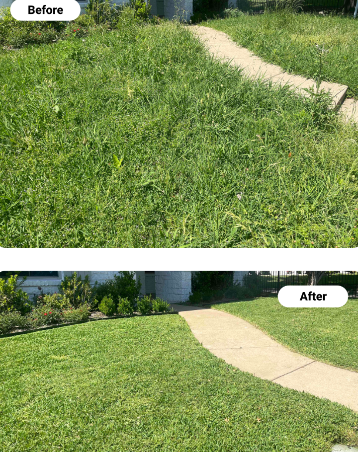 Recent garden tidy-up — before and after